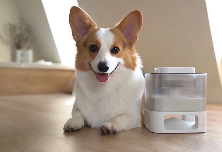 AuraPaws SlowFeed Ball — Interactive Food Dispenser Toy
