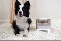 AuraPaws SlowFeed Ball — Interactive Food Dispenser Toy