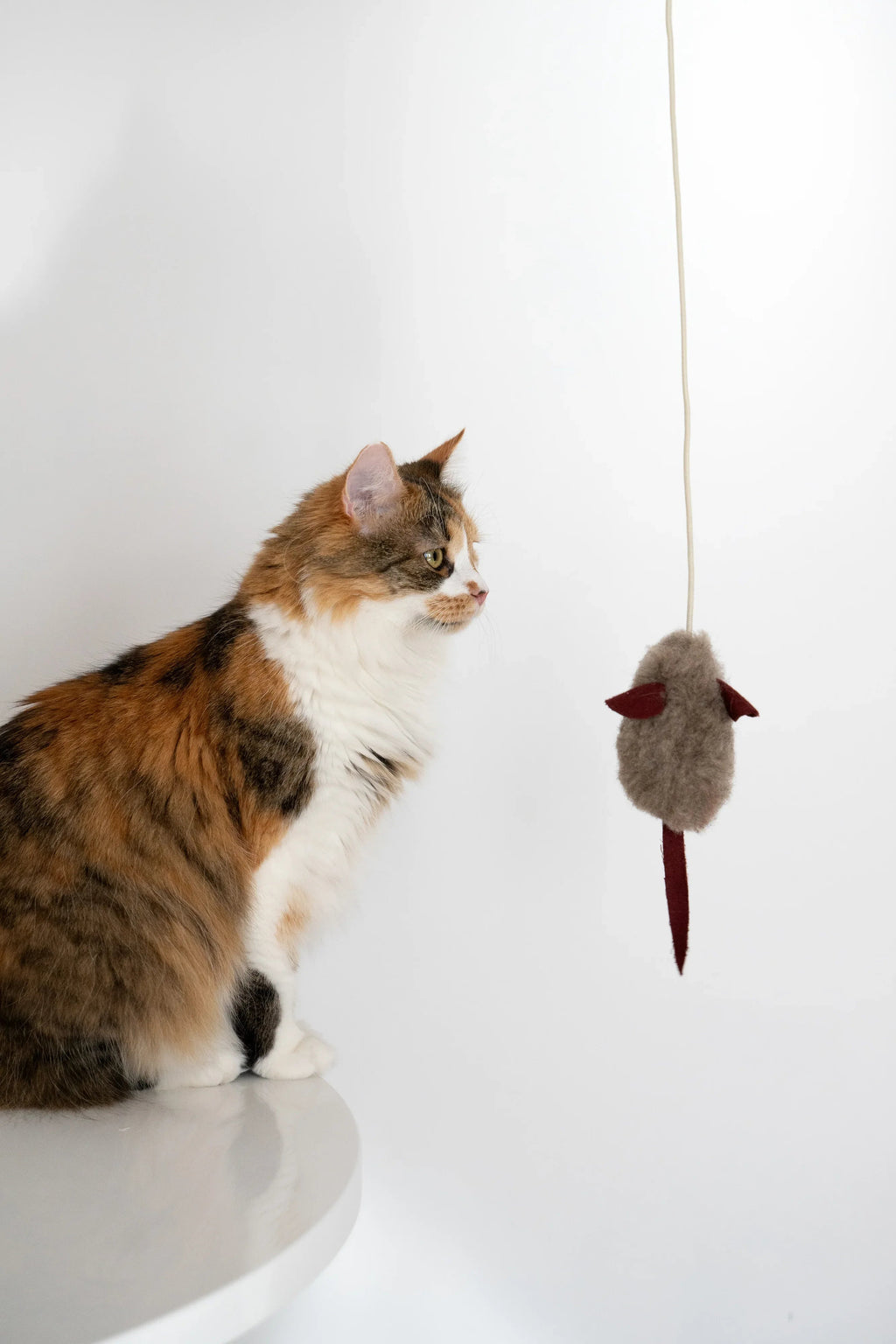 AuraPaws Natural Wool Mouse Cat Toy | Handmade in EU