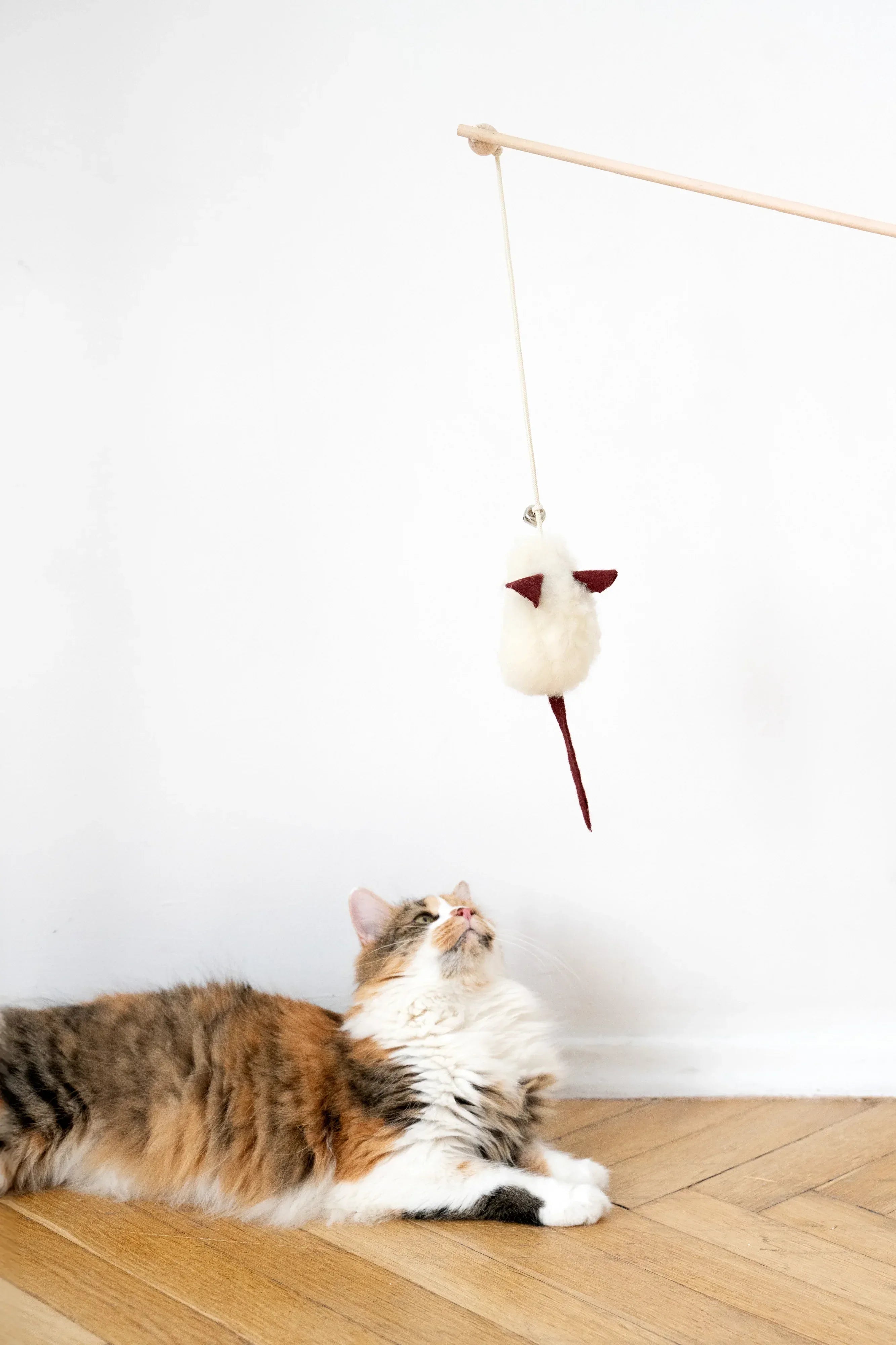 AuraPaws Natural Wool Mouse Cat Toy | Handmade in EU