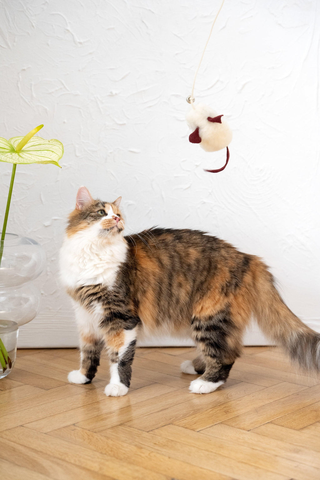 AuraPaws Natural Wool Mouse Cat Toy | Handmade in EU