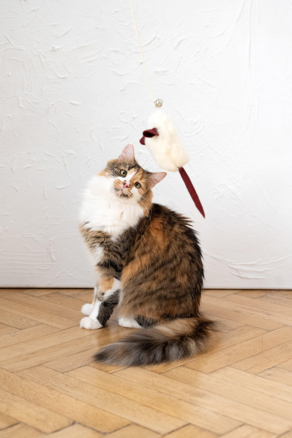 AuraPaws Natural Wool Mouse Cat Toy | Handmade in EU