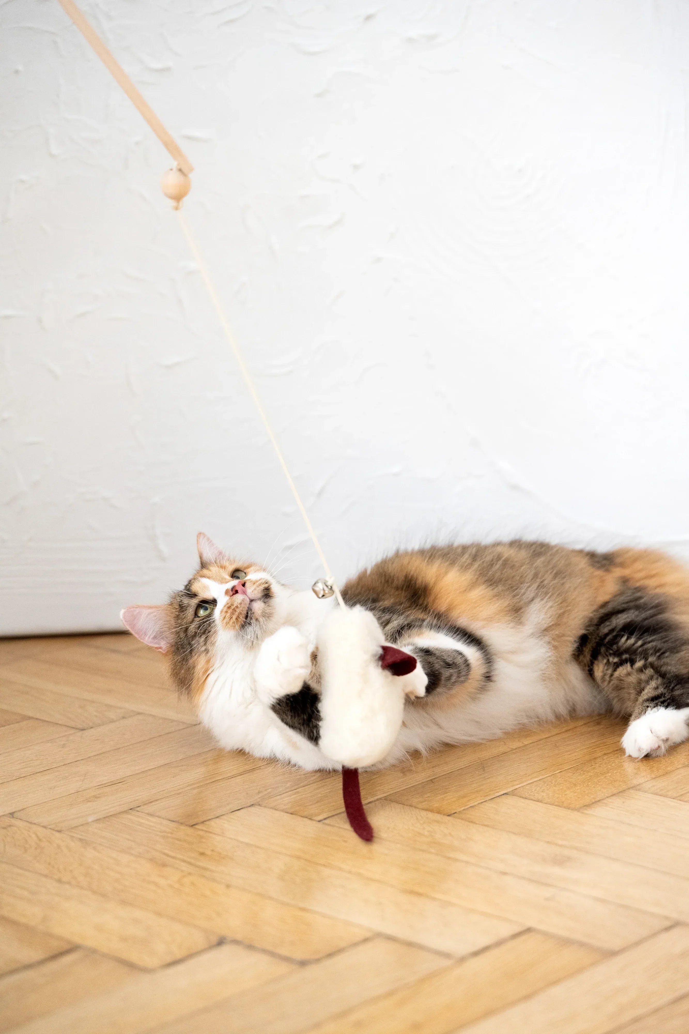 AuraPaws Natural Wool Mouse Cat Toy | Handmade in EU