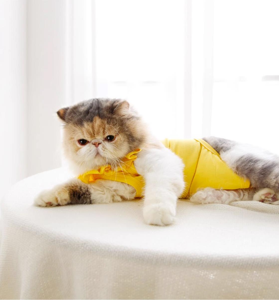 Breathable Cat Recovery Suit
